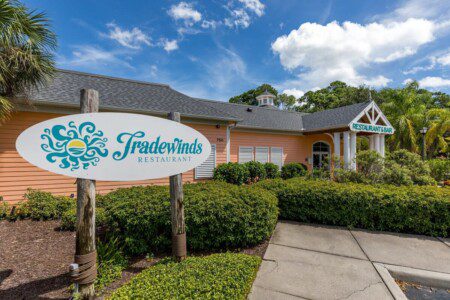 nnwefmrkkczgesq5jeed